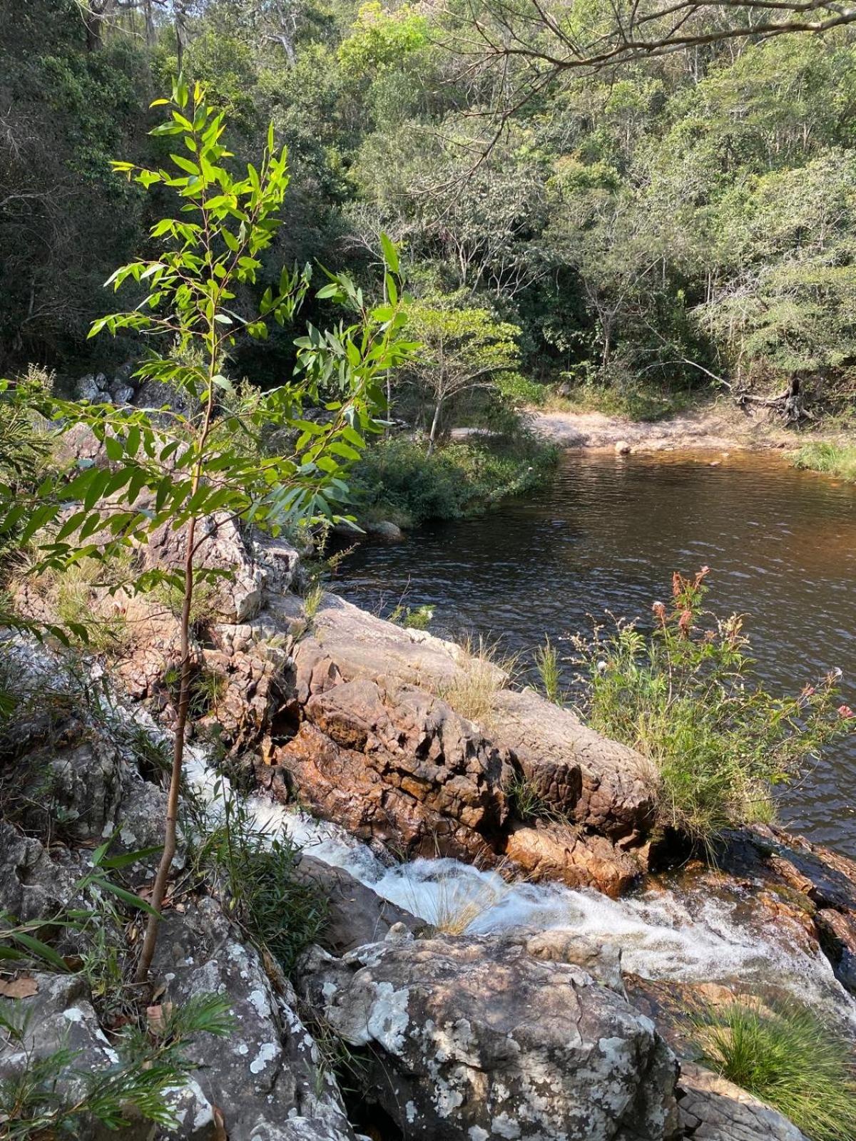 Reserva Do Bosque Hospedaria E Natureza Ibicoara Dış mekan fotoğraf