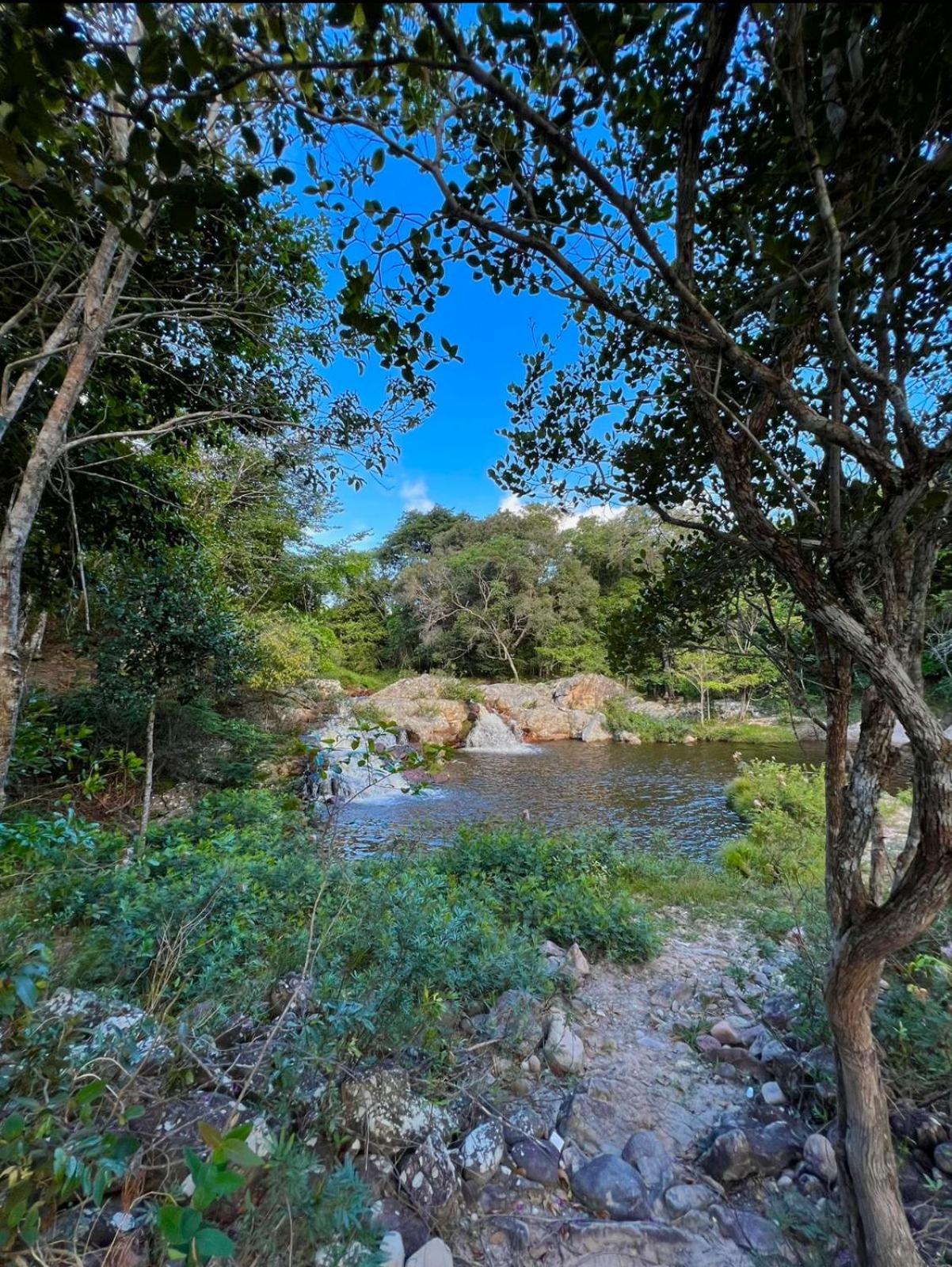 Reserva Do Bosque Hospedaria E Natureza Ibicoara Dış mekan fotoğraf